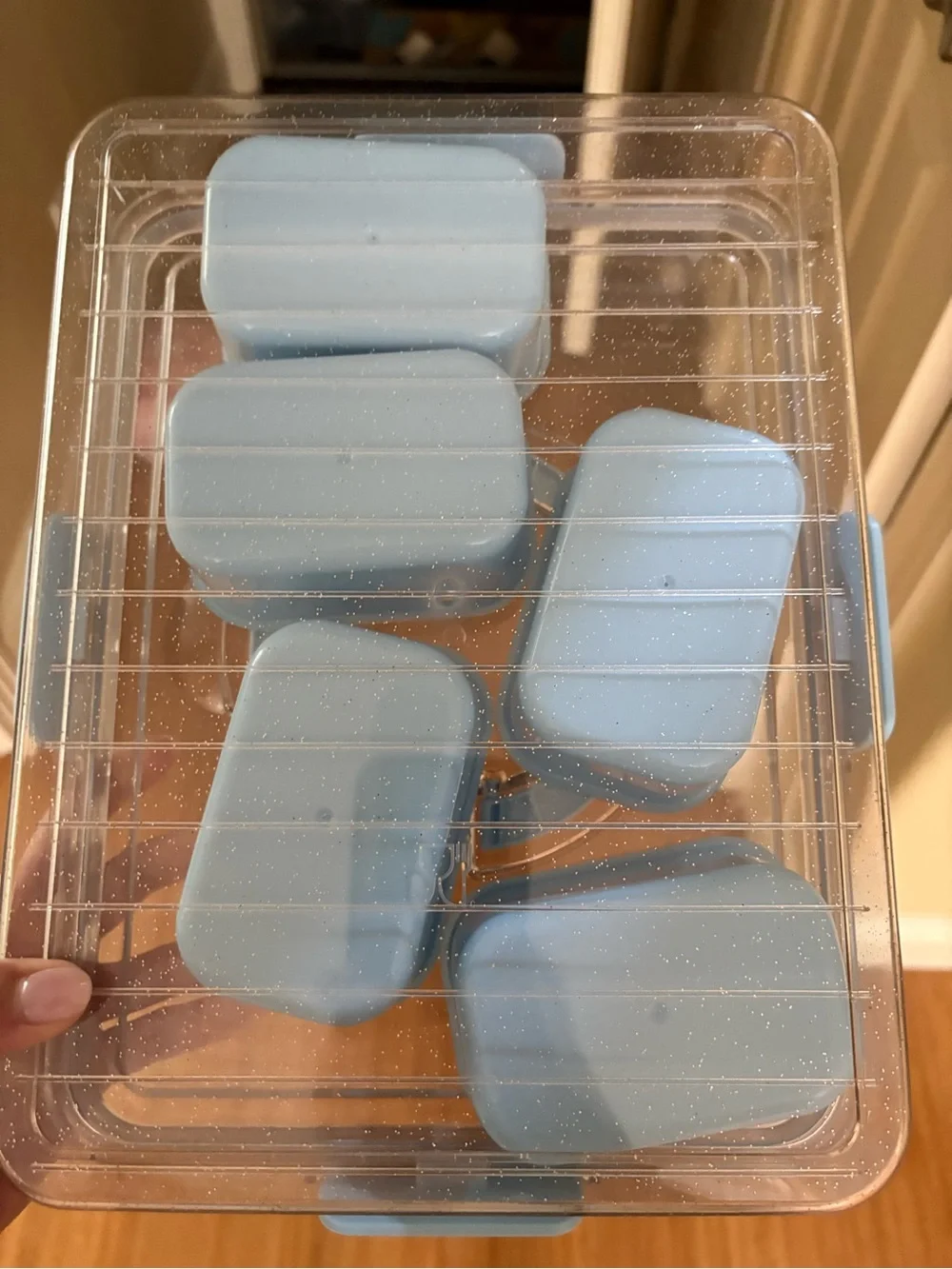 Blue Plastic Multi-Compartment Food Storage Container